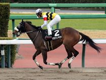 ����å��ǳ��������ɽ�����ޤ�