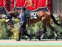 ����å��ǳ��������ɽ�����ޤ�