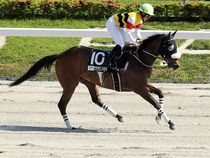 ����å��ǳ��������ɽ�����ޤ�