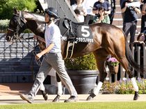 ����å��ǳ��������ɽ�����ޤ�