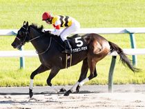 ����å��ǳ��������ɽ�����ޤ�