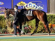 ����å��ǳ��������ɽ�����ޤ�