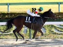 ����å��ǳ��������ɽ�����ޤ�