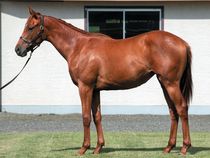 ����å��ǳ��������ɽ�����ޤ�