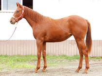 ����å��ǳ��������ɽ�����ޤ�