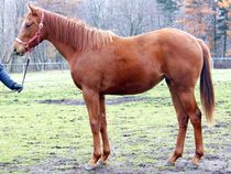 ����å��ǳ��������ɽ�����ޤ�