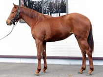 ����å��ǳ��������ɽ�����ޤ�