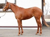 ����å��ǳ��������ɽ�����ޤ�