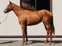 ����å��ǳ��������ɽ�����ޤ�