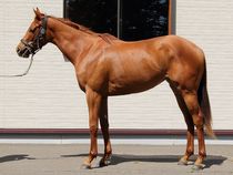 ����å��ǳ��������ɽ�����ޤ�