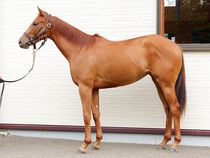 ����å��ǳ��������ɽ�����ޤ�