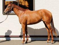 ����å��ǳ��������ɽ�����ޤ�