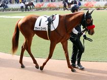 ����å��ǳ��������ɽ�����ޤ�