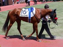 ����å��ǳ��������ɽ�����ޤ�