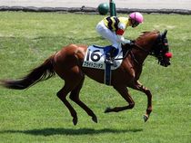 ����å��ǳ��������ɽ�����ޤ�