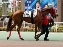 ����å��ǳ��������ɽ�����ޤ�