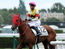 ����å��ǳ��������ɽ�����ޤ�