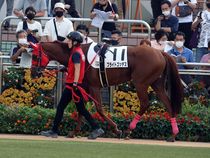 ����å��ǳ��������ɽ�����ޤ�