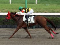 ����å��ǳ��������ɽ�����ޤ�