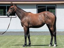 ����å��ǳ��������ɽ�����ޤ�