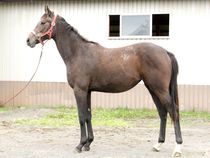 ����å��ǳ��������ɽ�����ޤ�