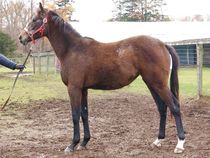 ����å��ǳ��������ɽ�����ޤ�