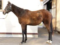 ����å��ǳ��������ɽ�����ޤ�