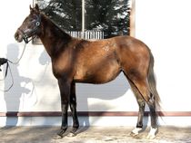 ����å��ǳ��������ɽ�����ޤ�