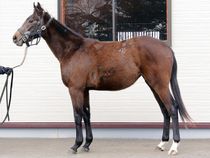 ����å��ǳ��������ɽ�����ޤ�