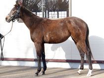 ����å��ǳ��������ɽ�����ޤ�