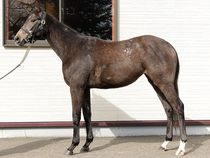 ����å��ǳ��������ɽ�����ޤ�