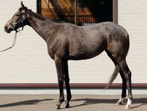 ����å��ǳ��������ɽ�����ޤ�