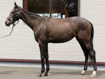 ����å��ǳ��������ɽ�����ޤ�