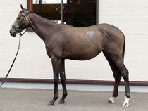 ����å��ǳ��������ɽ�����ޤ�