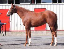 ����å��ǳ��������ɽ�����ޤ�