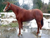 ����å��ǳ��������ɽ�����ޤ�