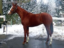 ����å��ǳ��������ɽ�����ޤ�