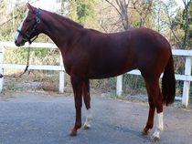 ����å��ǳ��������ɽ�����ޤ�