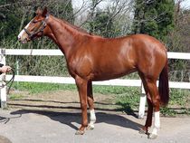 ����å��ǳ��������ɽ�����ޤ�