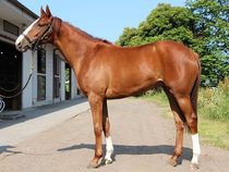 ����å��ǳ��������ɽ�����ޤ�