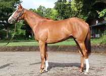 ����å��ǳ��������ɽ�����ޤ�