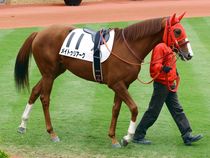 ����å��ǳ��������ɽ�����ޤ�