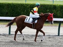 ����å��ǳ��������ɽ�����ޤ�