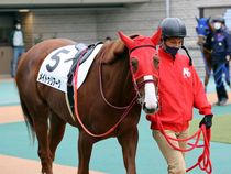 ����å��ǳ��������ɽ�����ޤ�