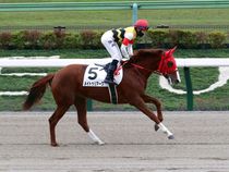 ����å��ǳ��������ɽ�����ޤ�