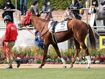 ����å��ǳ��������ɽ�����ޤ�