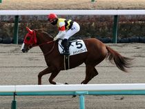 ����å��ǳ��������ɽ�����ޤ�