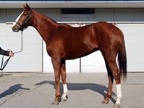 ����å��ǳ��������ɽ�����ޤ�