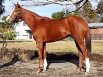 ����å��ǳ��������ɽ�����ޤ�