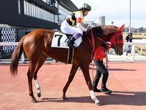 ����å��ǳ��������ɽ�����ޤ�